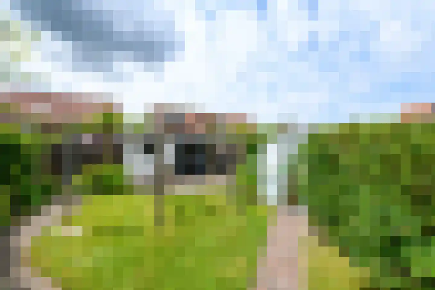 Kleine vos 6 Wolvega thumbnail 31