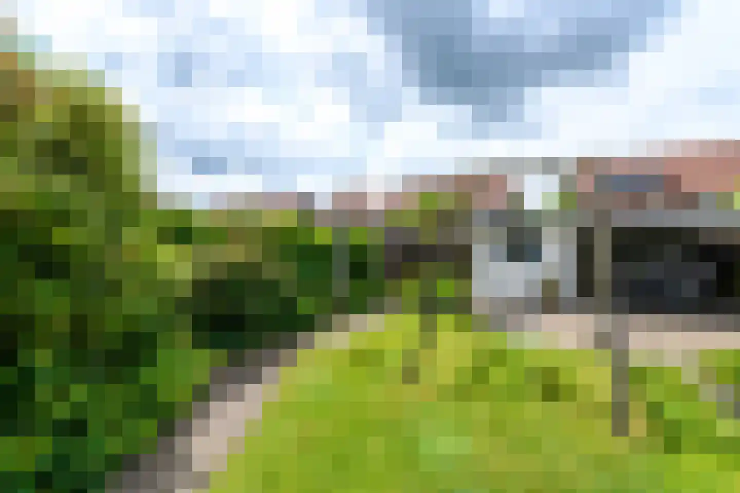Kleine vos 6 Wolvega thumbnail 32