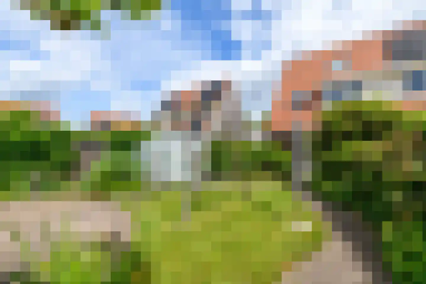 Kleine vos 6 Wolvega thumbnail 34
