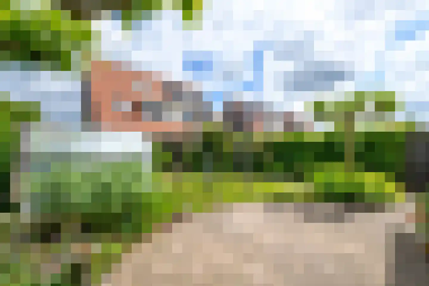 Kleine vos 6 Wolvega thumbnail 35