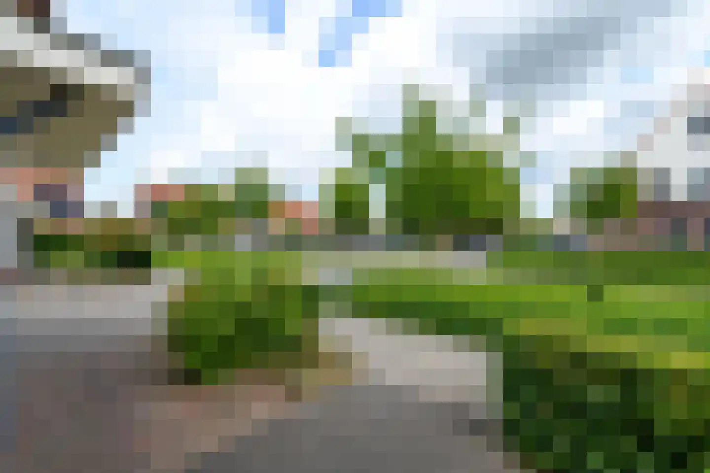 Kleine vos 6 Wolvega thumbnail 37