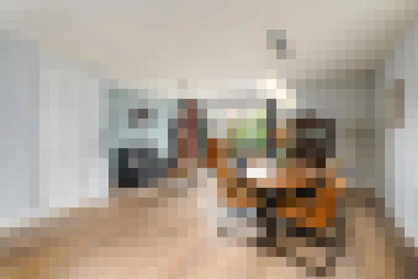 Kleine vos 6 Wolvega thumbnail 8