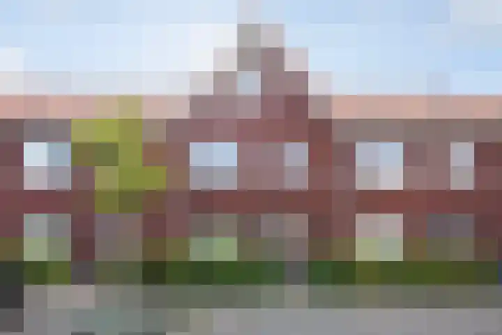 Kleine vos 8 in 's-Gravenzande