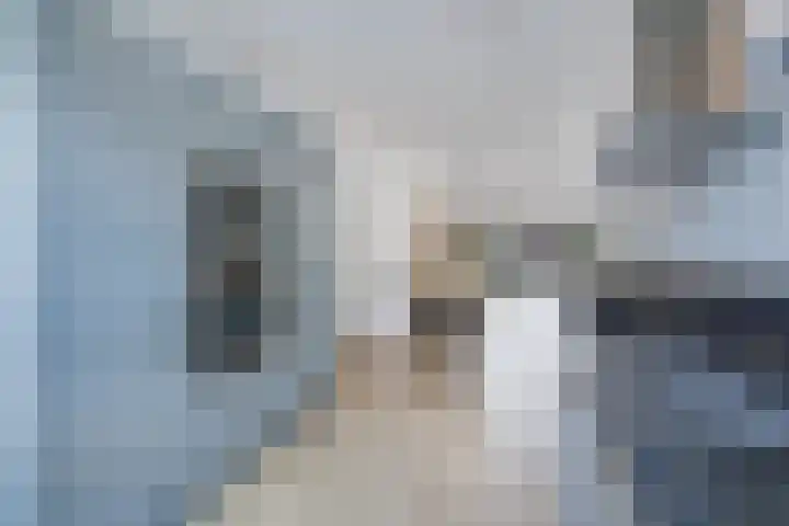 Kleine vos 8 's-Gravenzande thumbnail 10