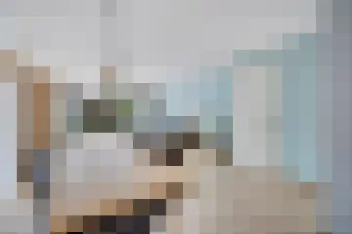 Kleine vos 8 's-Gravenzande thumbnail 11
