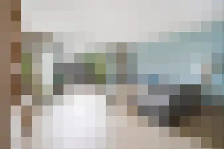 Kleine vos 8 's-Gravenzande thumbnail 13