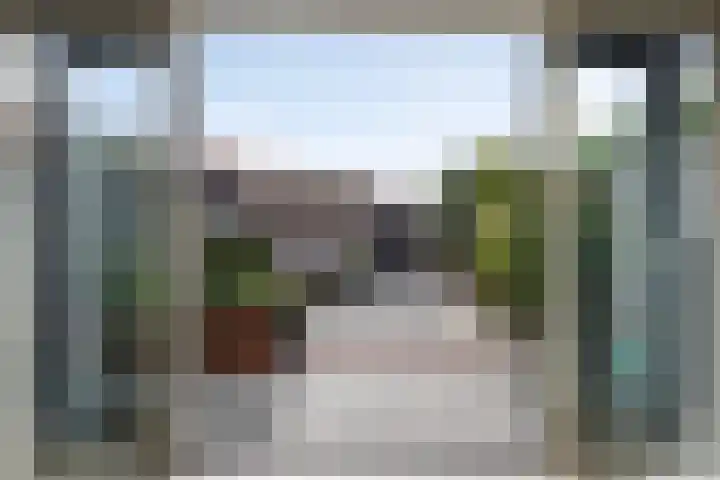 Kleine vos 8 's-Gravenzande thumbnail 14