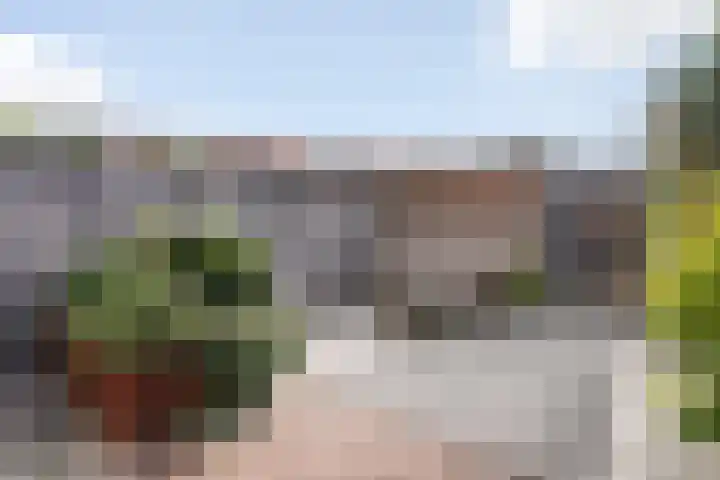 Kleine vos 8 's-Gravenzande thumbnail 15