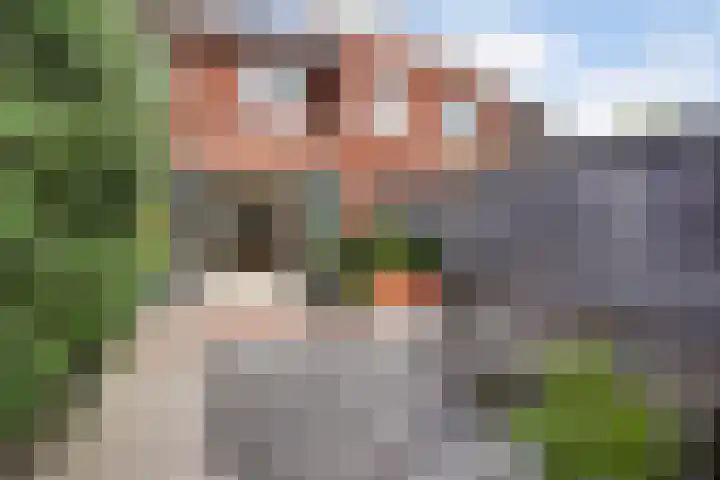 Kleine vos 8 's-Gravenzande thumbnail 16