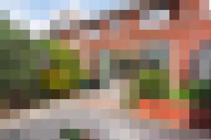 Kleine vos 8 's-Gravenzande thumbnail 17
