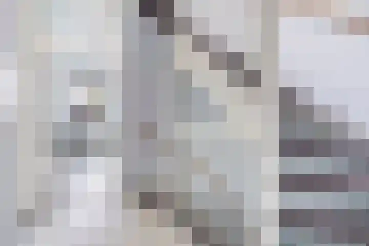 Kleine vos 8 's-Gravenzande thumbnail 20
