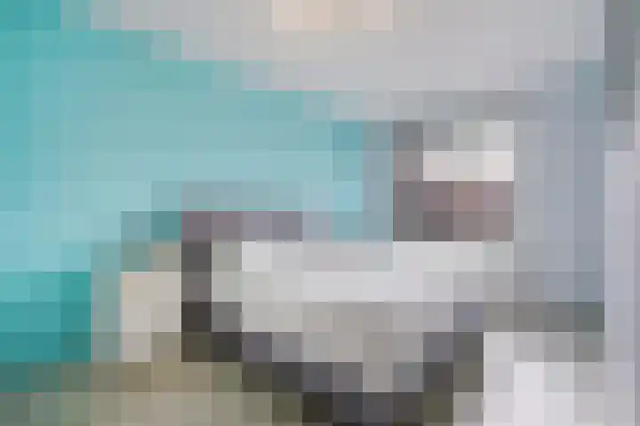 Kleine vos 8 's-Gravenzande thumbnail 21