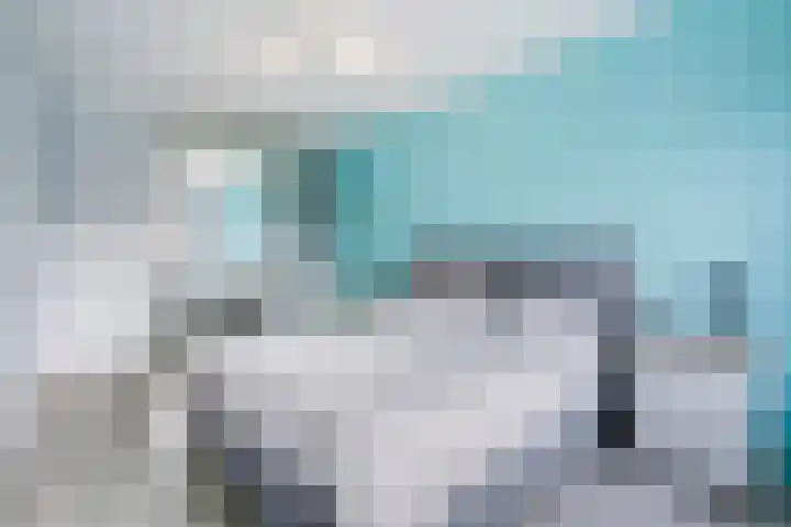 Kleine vos 8 's-Gravenzande thumbnail 23