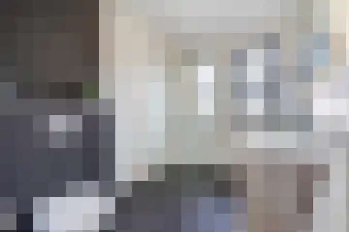 Kleine vos 8 's-Gravenzande thumbnail 24