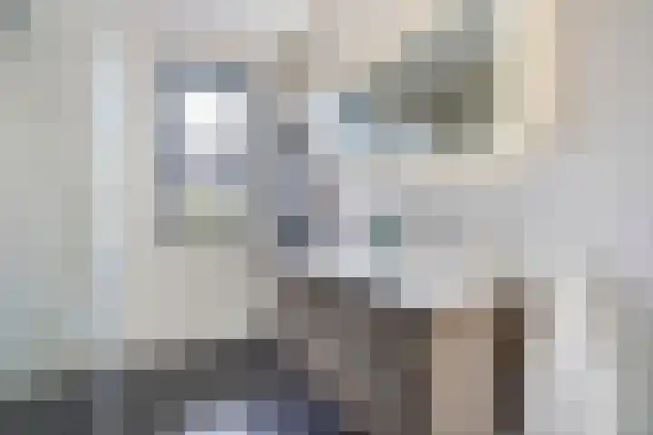 Kleine vos 8 's-Gravenzande thumbnail 25