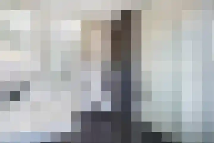Kleine vos 8 's-Gravenzande thumbnail 26