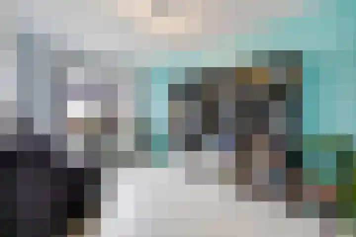 Kleine vos 8 's-Gravenzande thumbnail 29