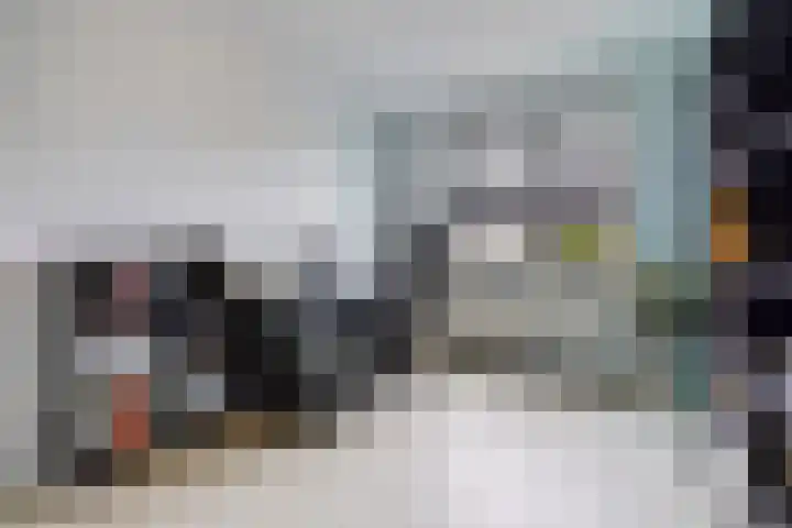 Kleine vos 8 's-Gravenzande thumbnail 30
