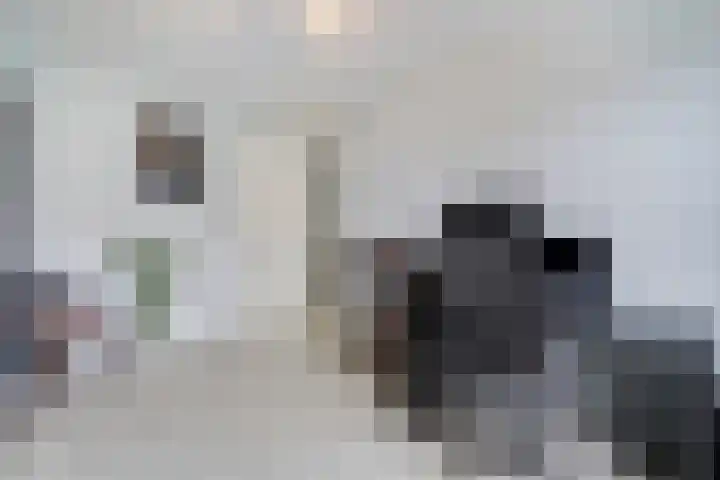 Kleine vos 8 's-Gravenzande thumbnail 31