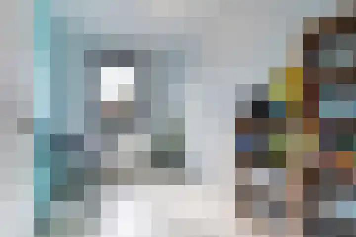 Kleine vos 8 's-Gravenzande thumbnail 32