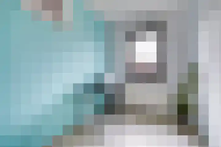 Kleine vos 8 's-Gravenzande thumbnail 33