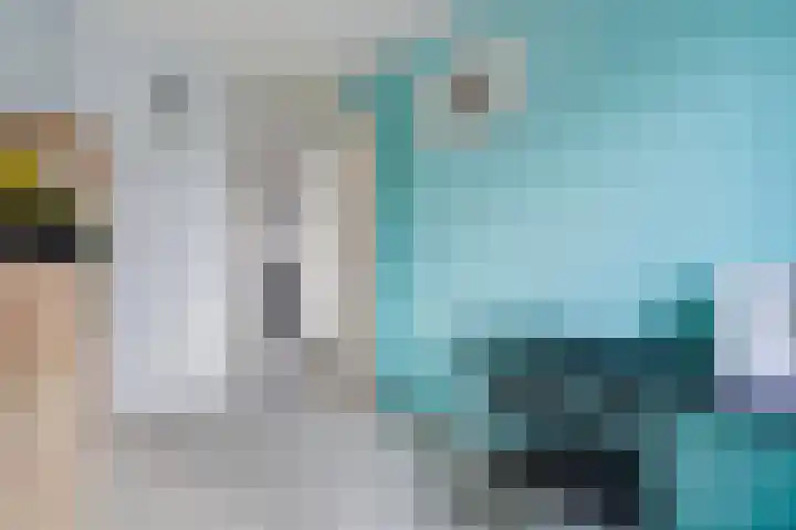Kleine vos 8 's-Gravenzande thumbnail 34