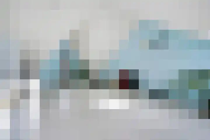 Kleine vos 8 's-Gravenzande thumbnail 36