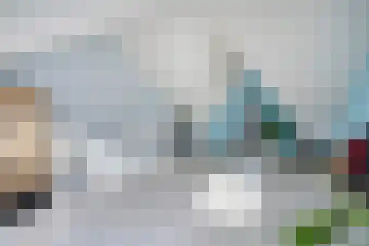 Kleine vos 8 's-Gravenzande thumbnail 37