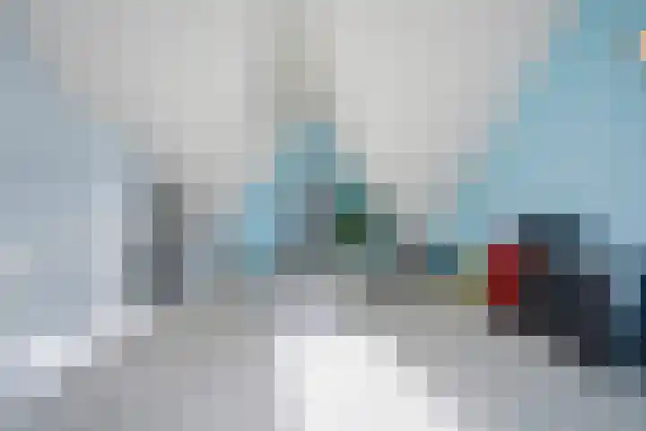 Kleine vos 8 's-Gravenzande thumbnail 38