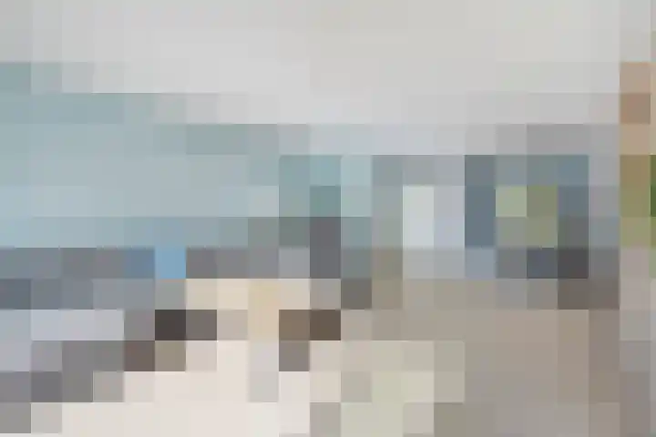 Kleine vos 8 's-Gravenzande thumbnail 4