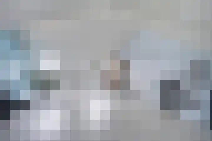 Kleine vos 8 's-Gravenzande thumbnail 40