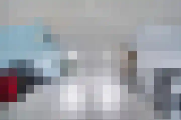 Kleine vos 8 's-Gravenzande thumbnail 41