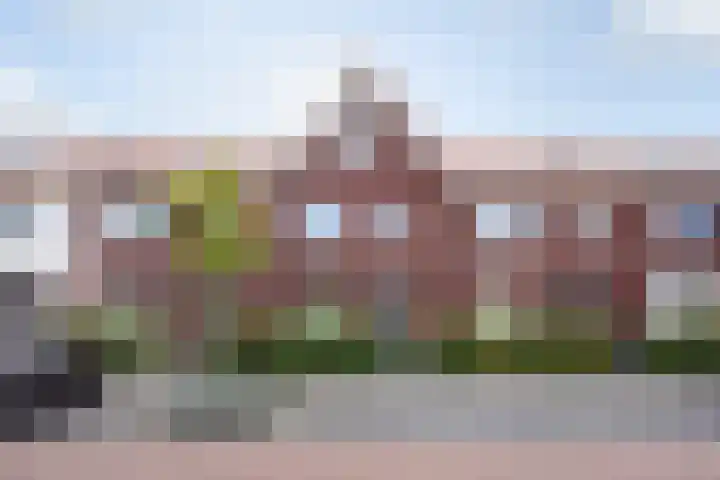 Kleine vos 8 's-Gravenzande thumbnail 42