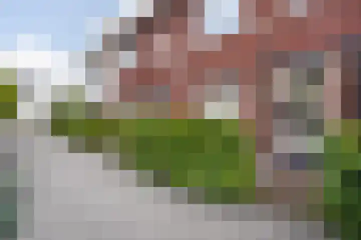 Kleine vos 8 's-Gravenzande thumbnail 43
