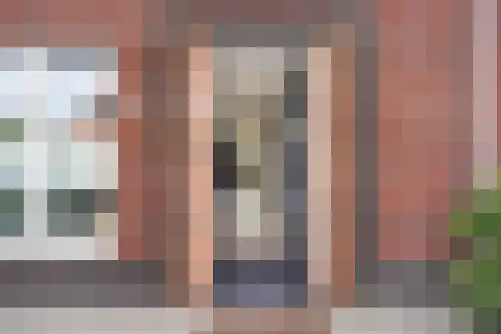 Kleine vos 8 's-Gravenzande thumbnail 44