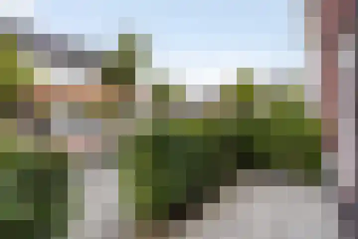 Kleine vos 8 's-Gravenzande thumbnail 45
