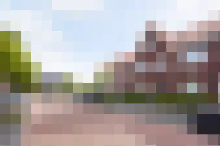 Kleine vos 8 's-Gravenzande thumbnail 46