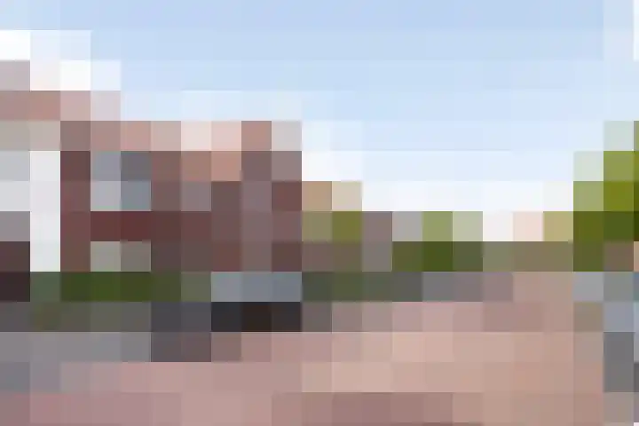 Kleine vos 8 's-Gravenzande thumbnail 47