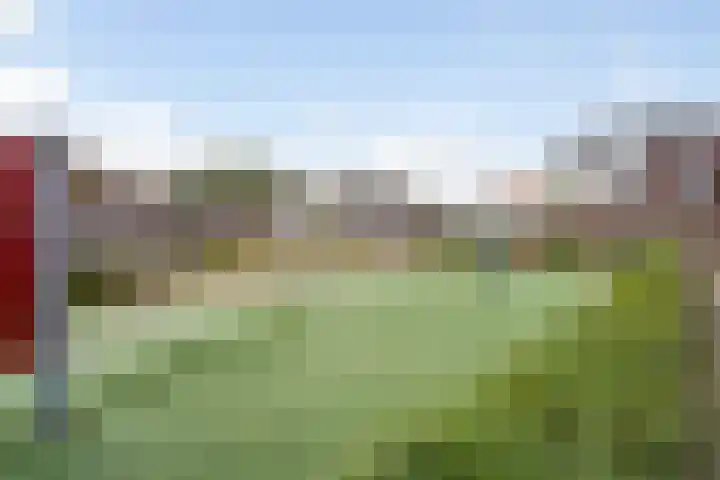 Kleine vos 8 's-Gravenzande thumbnail 48