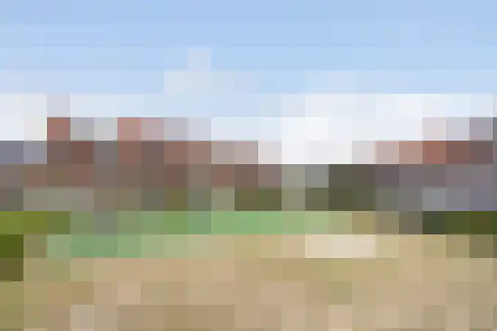 Kleine vos 8 's-Gravenzande thumbnail 49