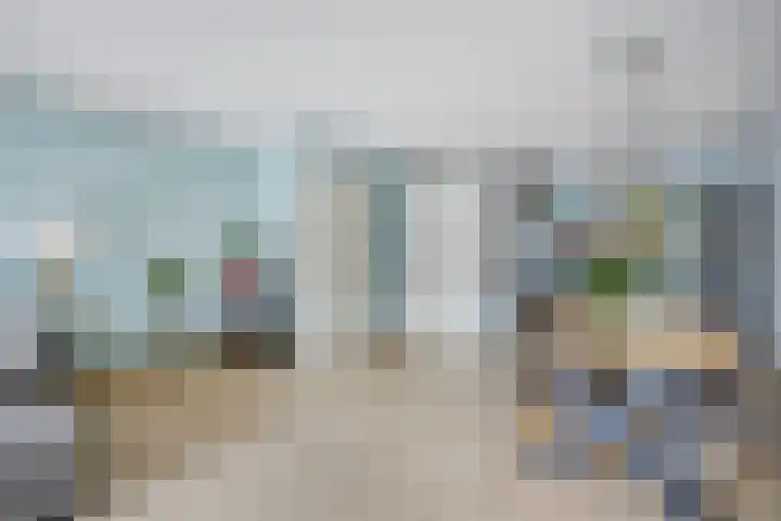 Kleine vos 8 's-Gravenzande thumbnail 5