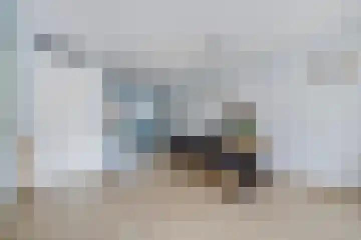 Kleine vos 8 's-Gravenzande thumbnail 6