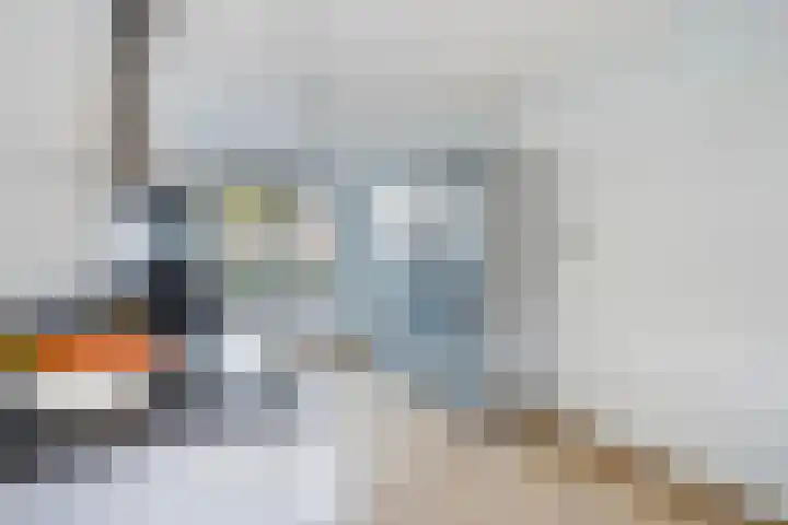 Kleine vos 8 's-Gravenzande thumbnail 7