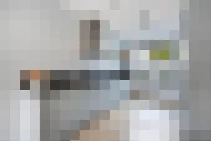 Kleine vos 8 's-Gravenzande thumbnail 8