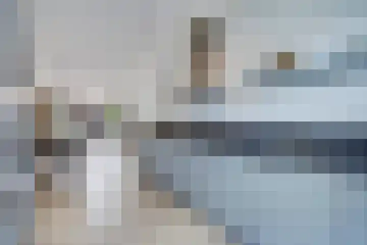 Kleine vos 8 's-Gravenzande thumbnail 9