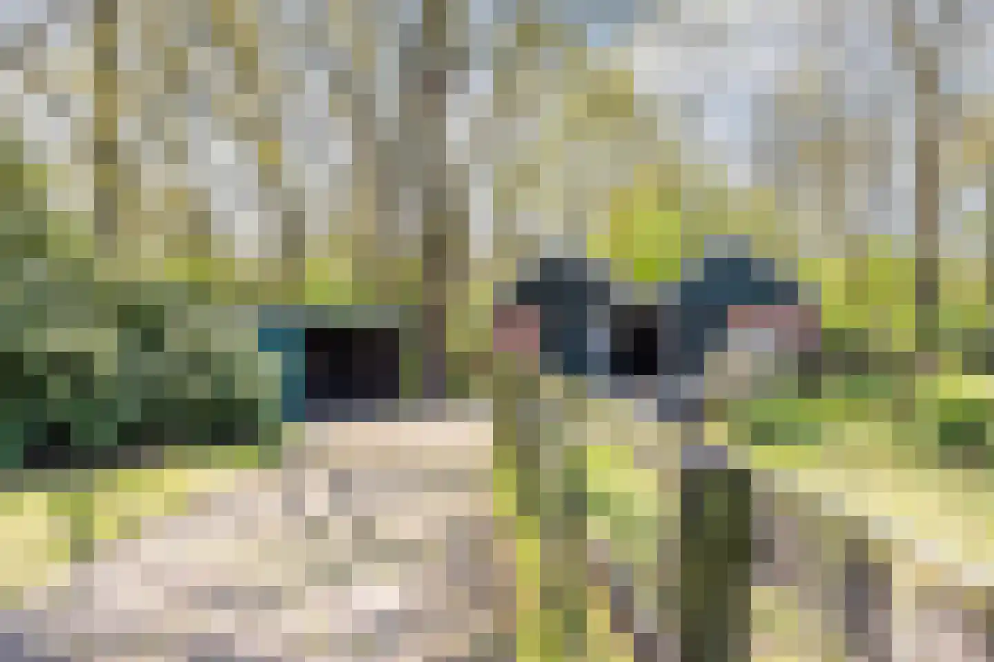 Kleine Vospad 11 Rijen thumbnail 22