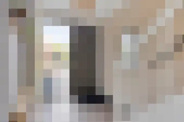 Kleine Vuurvlinder 19 Mierlo thumbnail 10