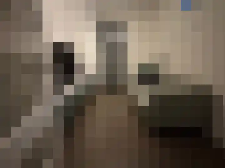 Kleine Vuurvlinder 19 Mierlo thumbnail 12