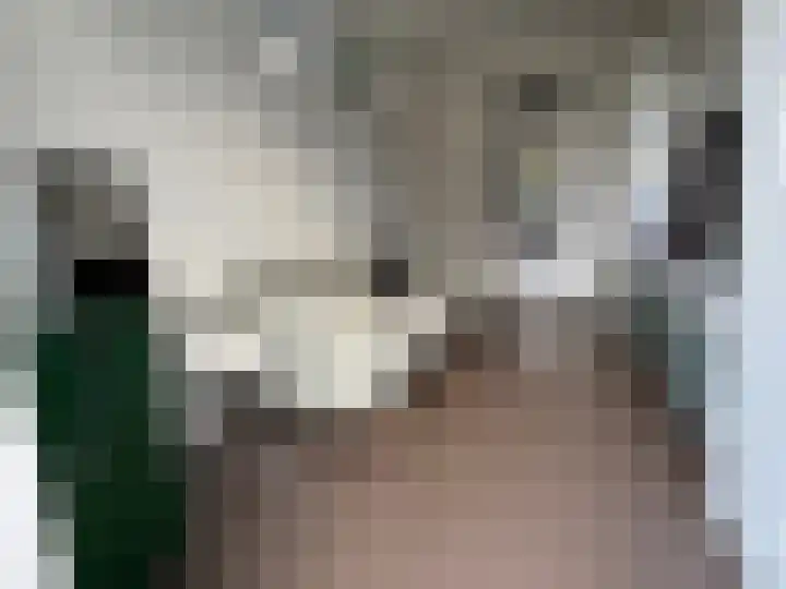 Kleine Vuurvlinder 19 Mierlo thumbnail 13