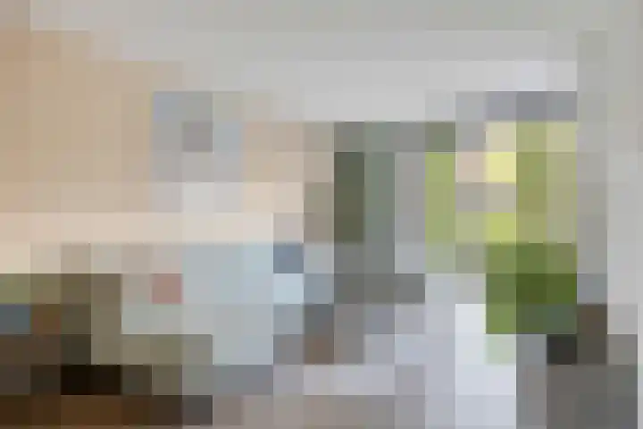 Kleine Vuurvlinder 19 Mierlo thumbnail 14